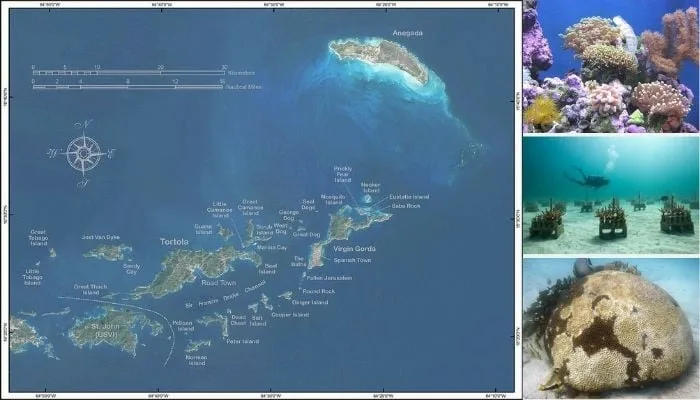 Британские Виргинские острова в Карибском море, окружённые кораллами