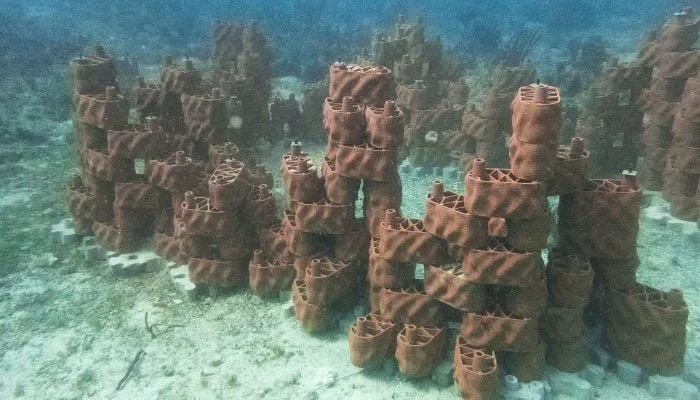 Напечатанный на 3D-принтере блок искусственного рифа на морском дне